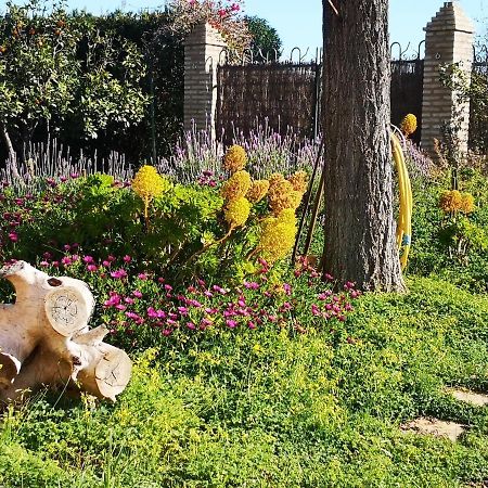 Casa Los Jinetes การ์โมนา ภายนอก รูปภาพ