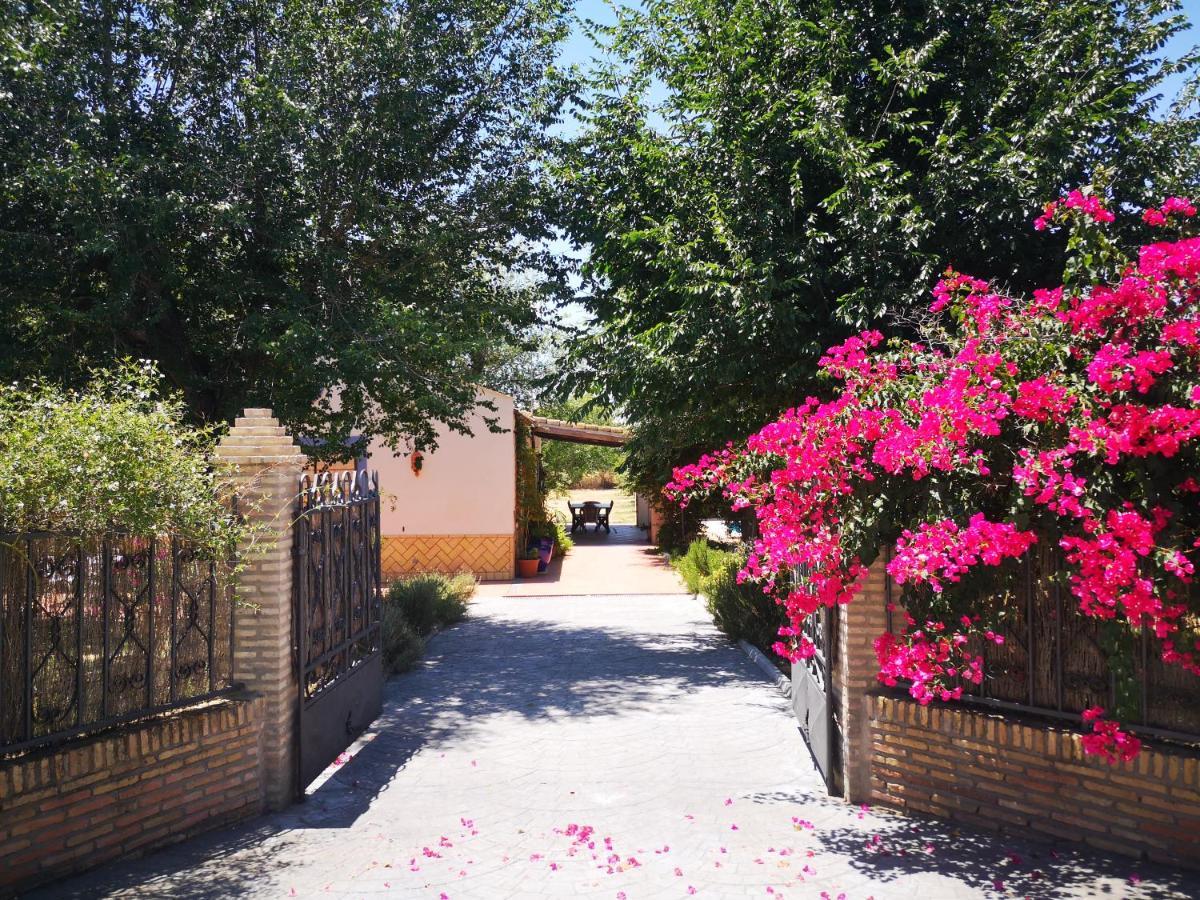 Casa Los Jinetes การ์โมนา ภายนอก รูปภาพ